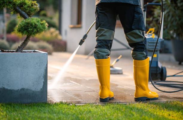 Best Local Pressure Washing Services  in Templeton, CA
